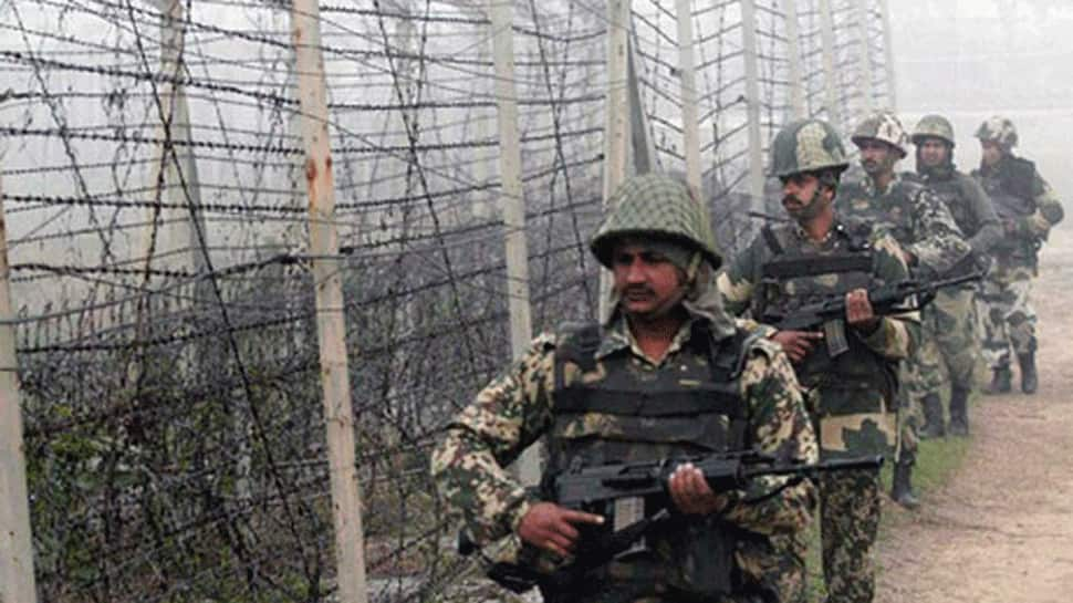 Pakistan national apprehended by BSF along border in Punjab