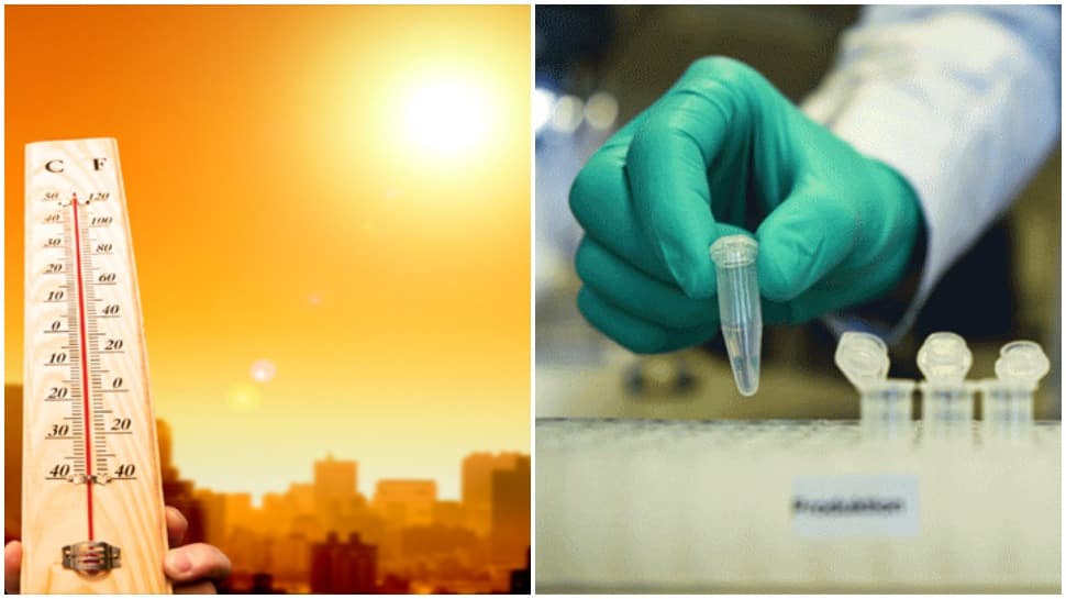 Lower COVID-19 cases in hotter regions, reveals IIT-Madras study