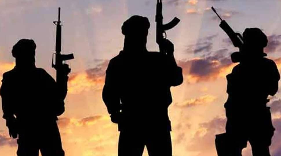 Jaish-e-Mohammad planning to carry out a major terror strike in Jammu and Kashmir on May 11: Sources