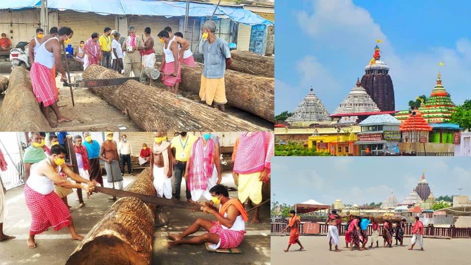 Jagannath Puri Rath Yatra 2020: Chariots&#039; construction work begins amid lockdown- In pics