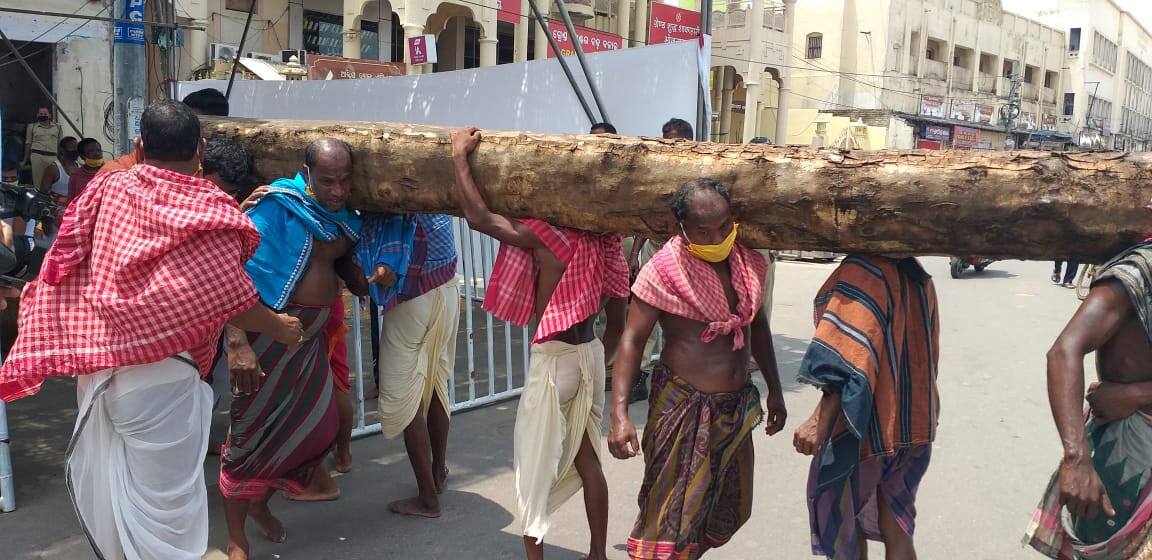 People carry a huge log wood on their shoulders