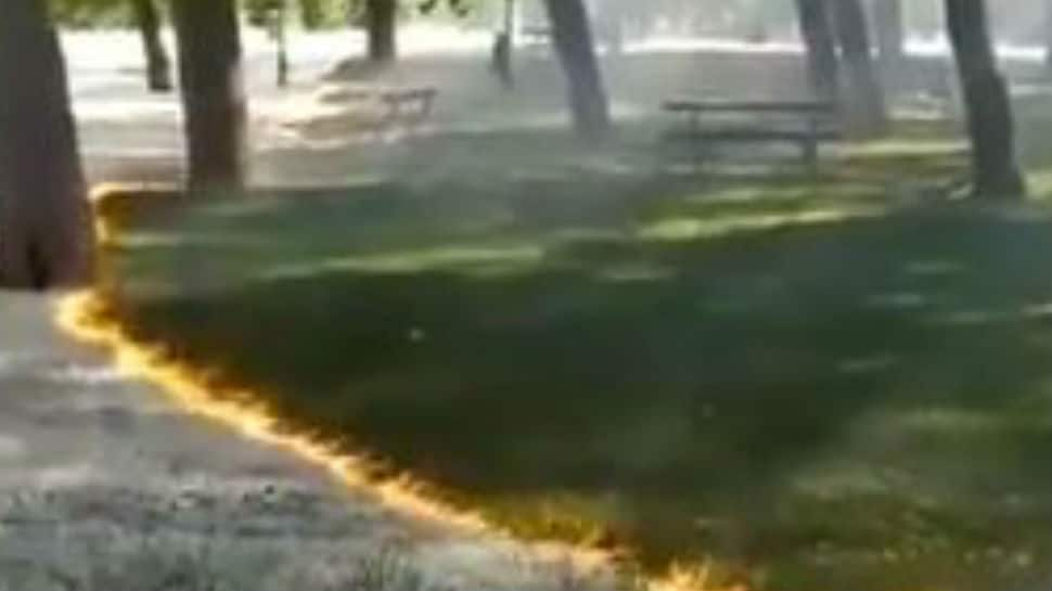 Watch: In Spain, mysterious fire sweeps through park without damaging trees or grass; yes, you read that right!