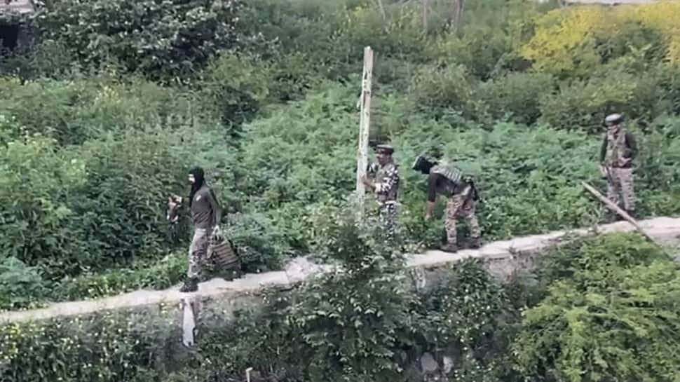 In unique rescue operation, CRPF team saves dog from drowning in Jhelum river in J&amp;K