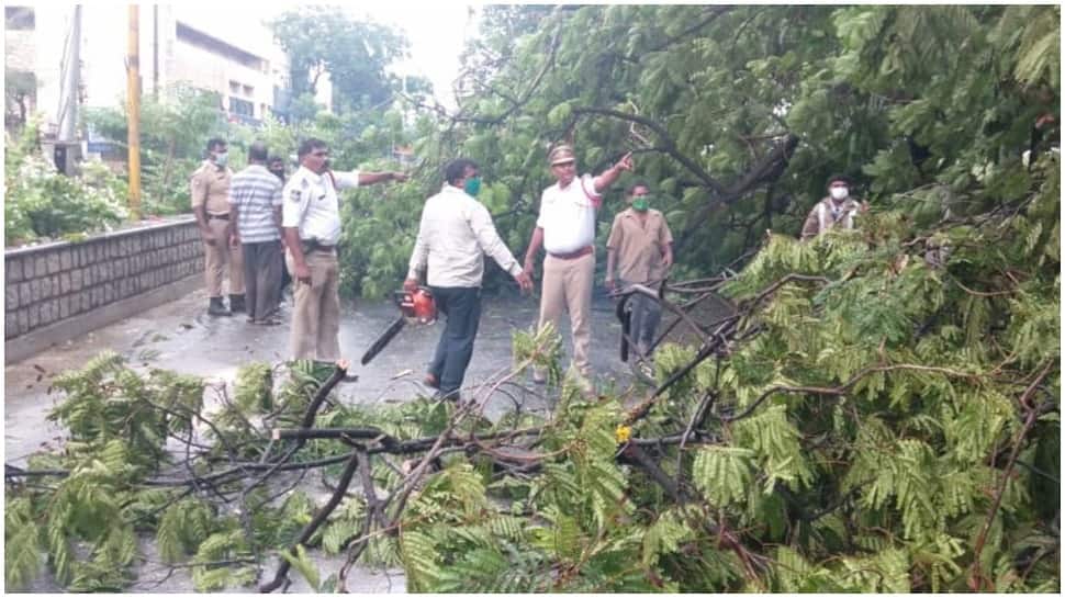 Heavy rains in Hyderabad leave city with flooded streets, uprooted trees