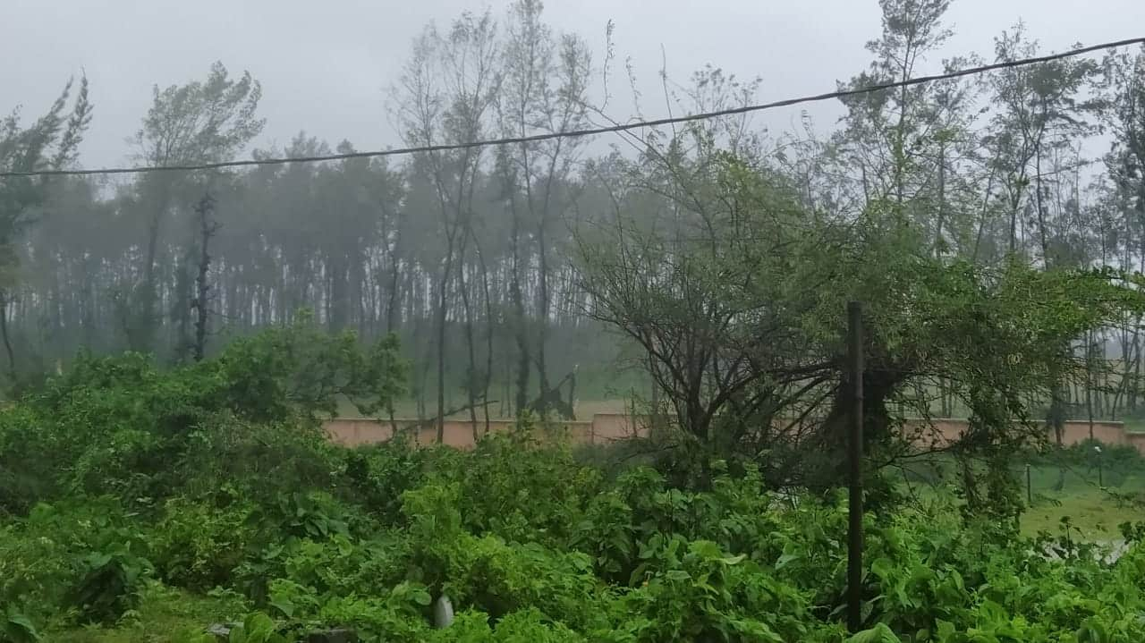 Cyclone Amphan in Odisha