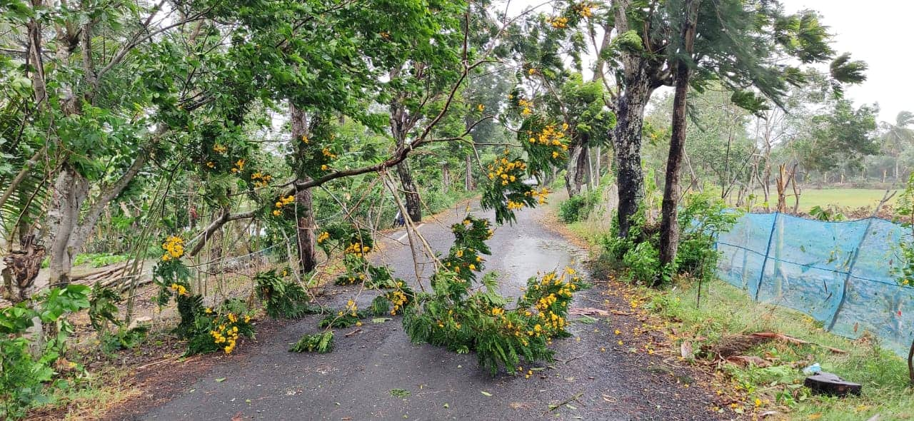 Cyclone Amphan in Sundarbans