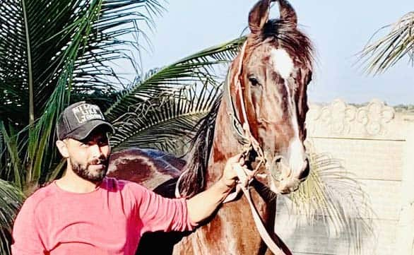 Ravindra Jadeja&#039;s passion for horses comes to fore again amid lockdown