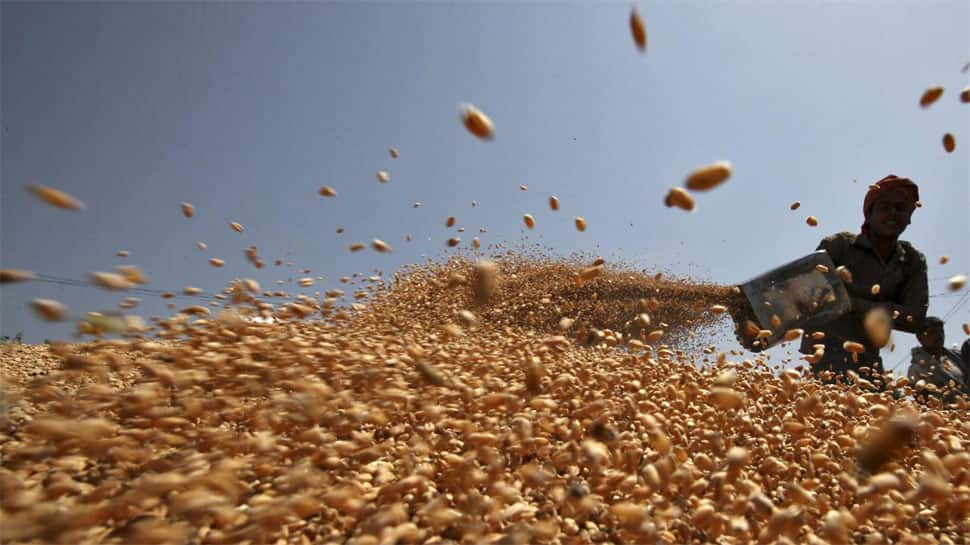 India’s wheat procurement surpasses last year&#039;s level of 34.1 mn tonnes despite COVID hurdles