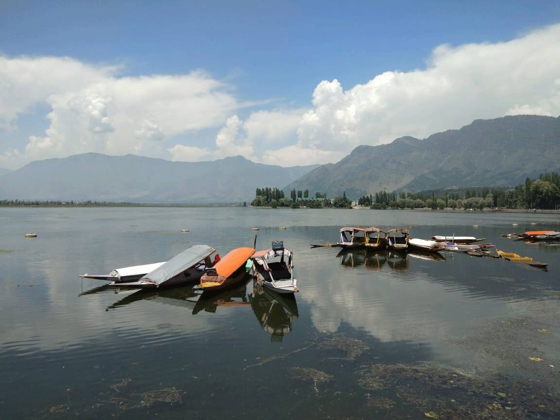 Dal Lake in Srinagar wears a deserted look 