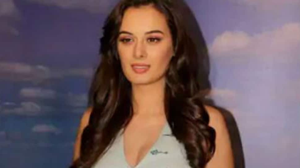 Evelyn Sharma: People still know me best as the &#039;Sunny sunny&#039; girl