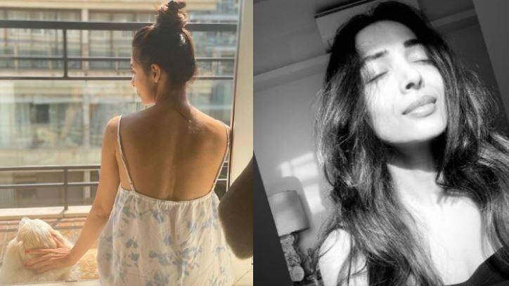 Bollywood news: Malaika Arora showcases her &#039;various stages of lockdown&#039; with candid pictures