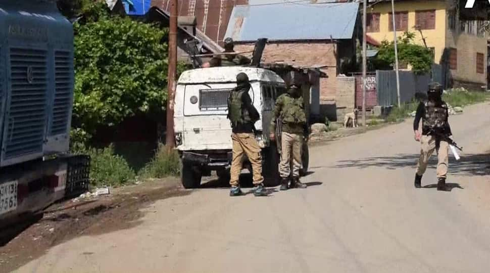 Three Jaish-e-Mohammad terrorists killed in Jammu and Kashmir&#039;s Pulwama