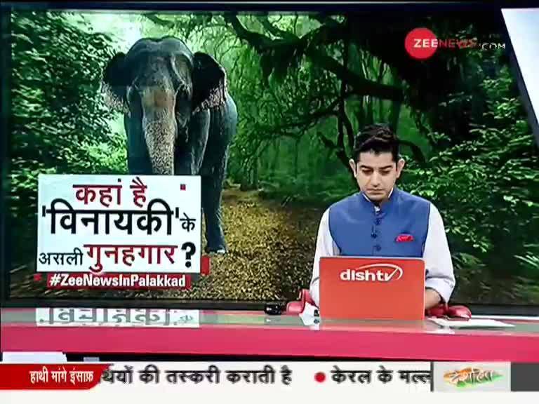 Taal Thok Ke Threatened With Fir For Hiding Truth Of Elephant S