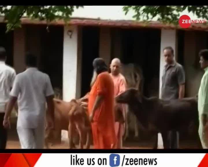 Video: Yogi cabinet passes ordinance to prevent cow 
