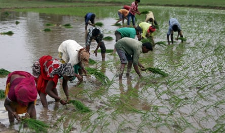 Favourable conditions for monsoon over west UP, rest of Northwest India predicted