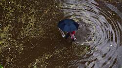 Intense rainfall spell over northern India from July 9-12: IMD