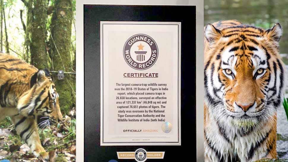 India&#039;s 2018 tiger census sets new Guinness Record as largest camera-trap wildlife survey