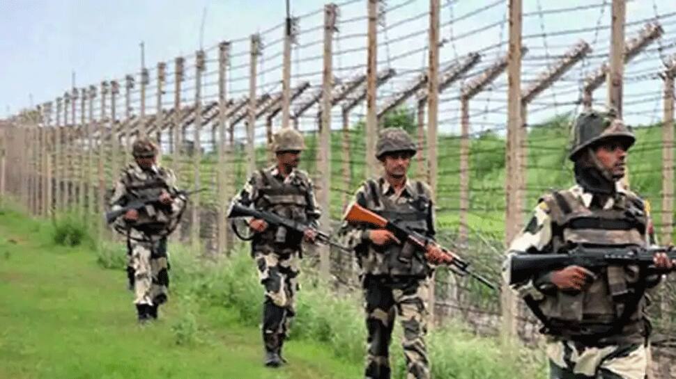 Pakistan intruder arrested along LoC in Jammu and Kashmir&#039;s Rajouri