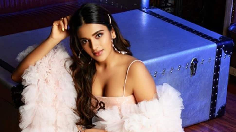 Nidhhi Agerwal gets nostalgic as &#039;iSmart Shankar&#039; turns one