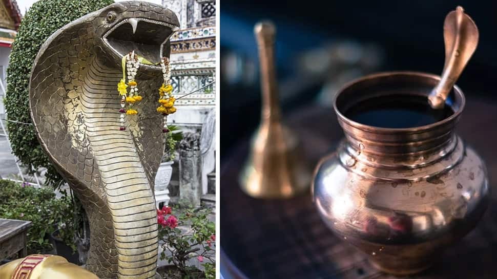 Nag Panchami 2020: Date, puja time, rituals and significance | Culture