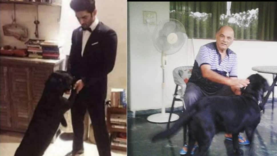 Sushant Singh Rajput&#039;s pet dog Fudge is with actor&#039;s father in Patna, sister Shweta Singh Kirti posts adorable pic!
