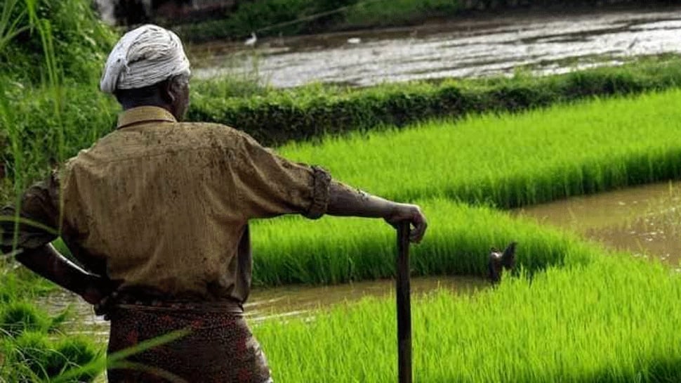 Teenage girls plough farmland to help family due to lack of money during coronavirus pandemic