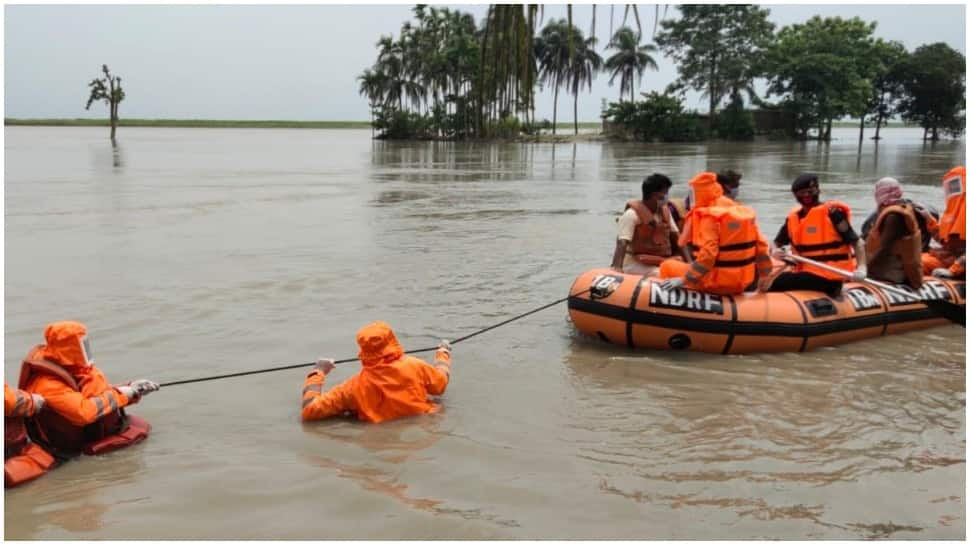 Assam floods: NDRF rescues 85 villagers, 20 livestock in Barpeta; 2,600 rescued so far