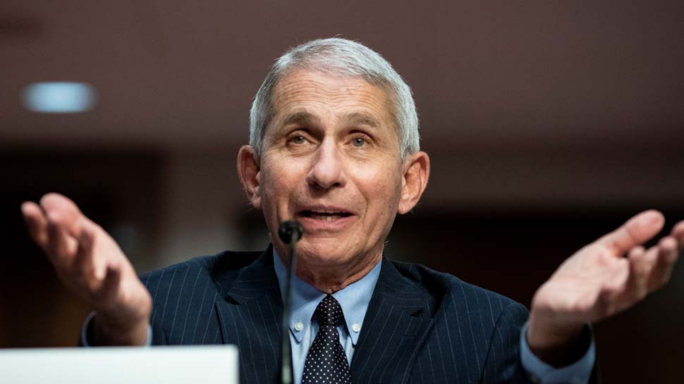 COVID-19 outbreak in hard-hit US states may be peaking: Dr Anthony Fauci