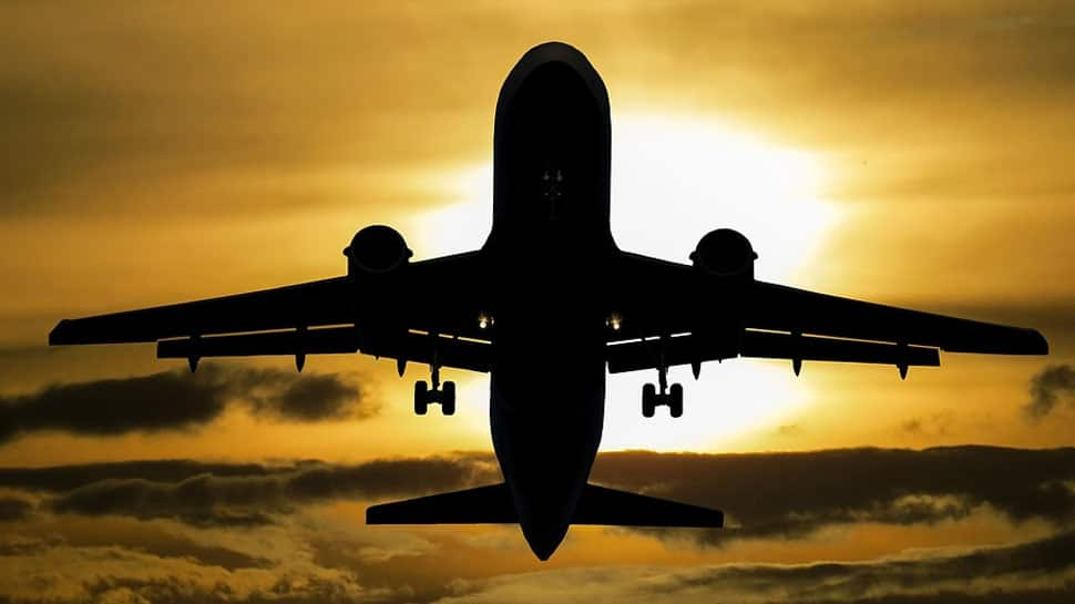 International commercial passenger flights will remain suspended till August 31: DGCA | India News | Zee News