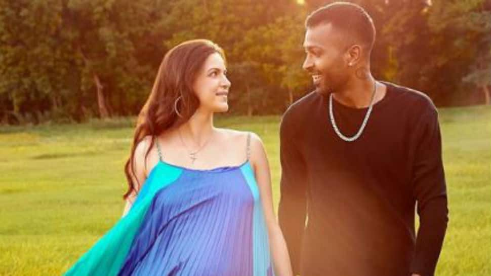 Arre, mummy bann gai: Natasa Stankovic&#039;s ex-boyfriend Aly Goni sends best wishes to her and Hardik Pandya on embracing parenthood