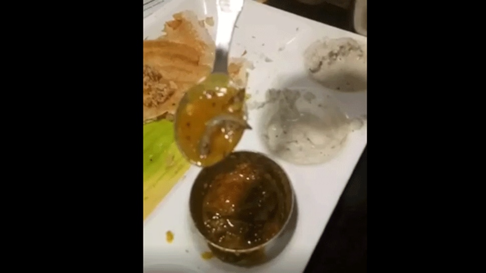 Man finds lizard in sambar at a top Delhi restaurant; case registered