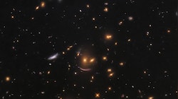What happens when a black hole does not intervene in life of a galaxy cluster