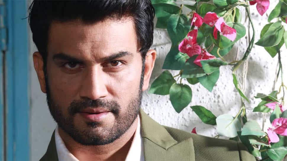 Sharad Kelkar lends his voice to the reimagined animated version of Sushmita Sen's 'Aarya'