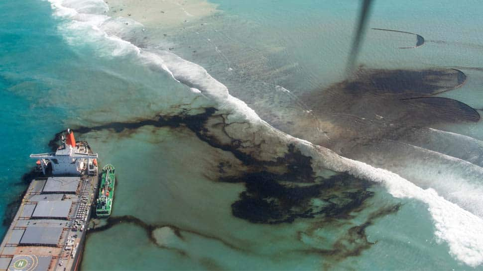 Sea life around Mauritius dying as Japanese ship oil spill spreads