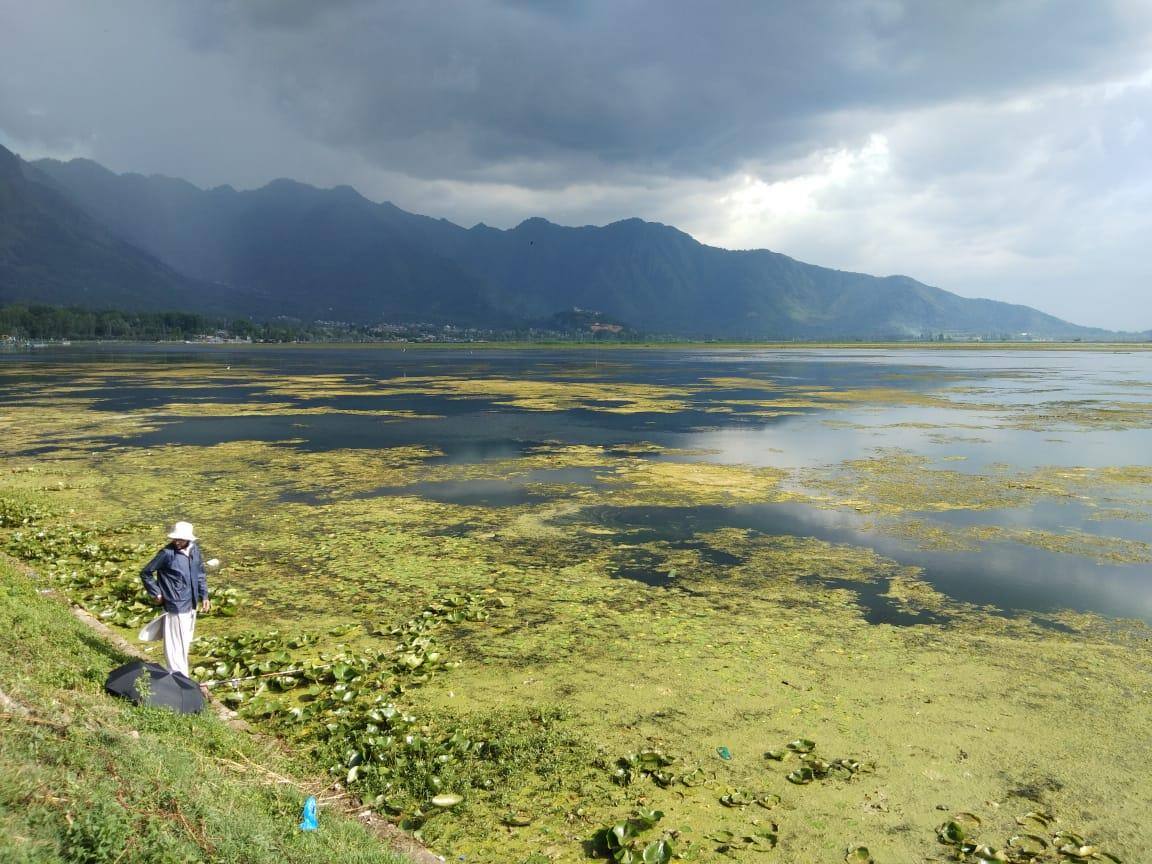 Dal Lake 