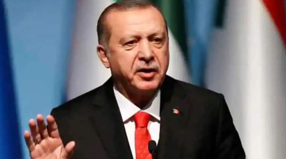 880256-erdogan-use.jpg