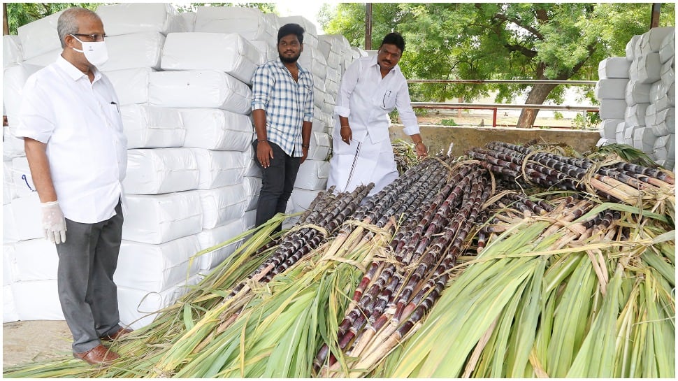 Tirumala Tirupati Devasthanams employee donates 12 tons of sugarcane to &#039;SV Goshala&#039; 