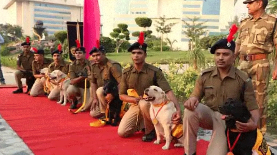 PM Narendra Modi lauds bravery of military dogs, urges countrymen to bring home native breeds