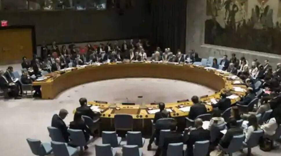 India hails UNSC panel&#039;s decision to reject Pakistan&#039;s attempt to list 2 Indians as terrorists 