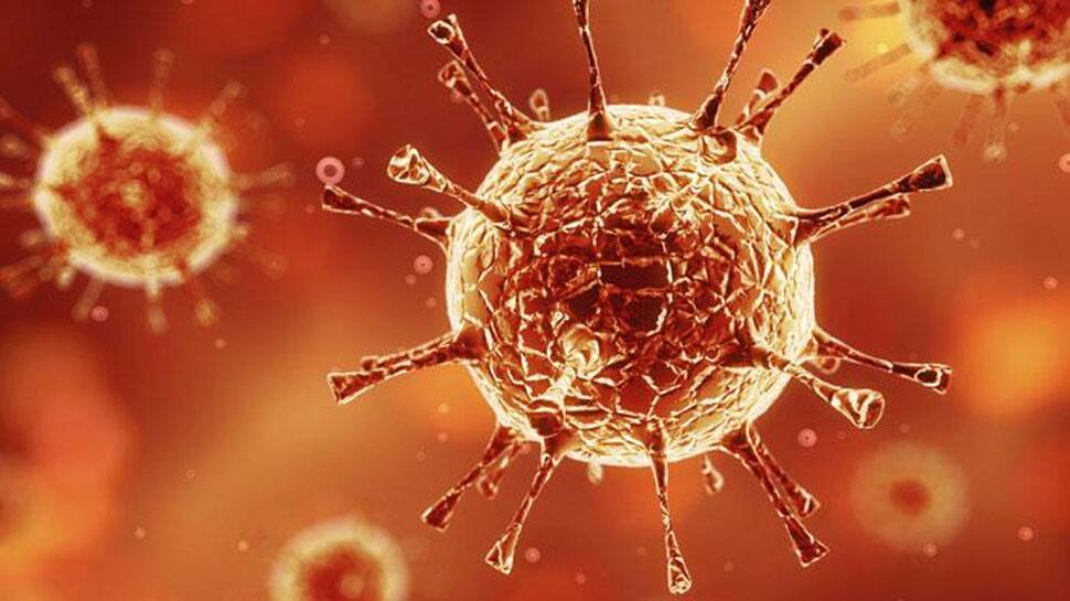 Scientists in Australia develop new tool to monitor coronavirus mutations 