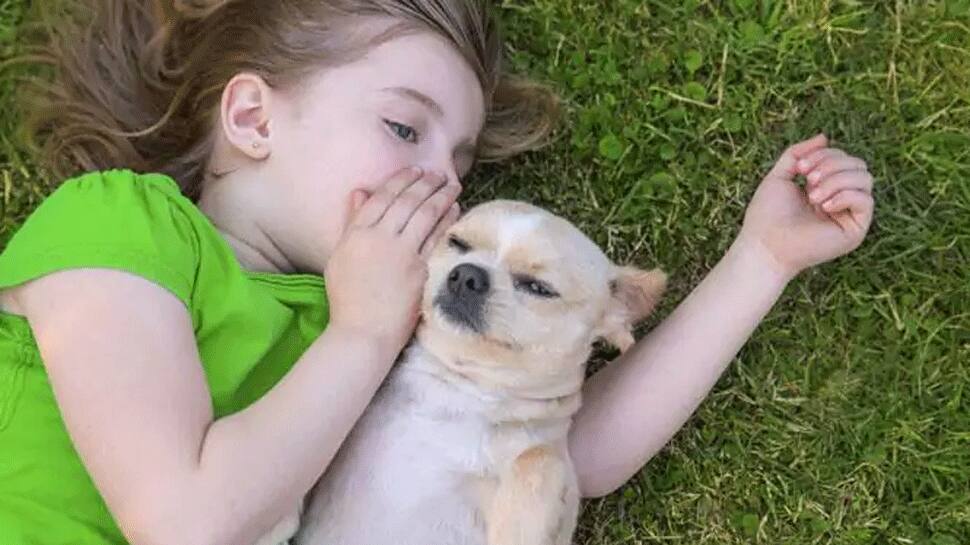 Study reveals loss of a pet can potentially trigger mental health issues in children