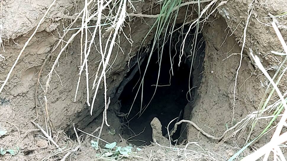 Pakistan using underground tunnels to push terrorists, drones to drop arms: J&amp;K DGP
