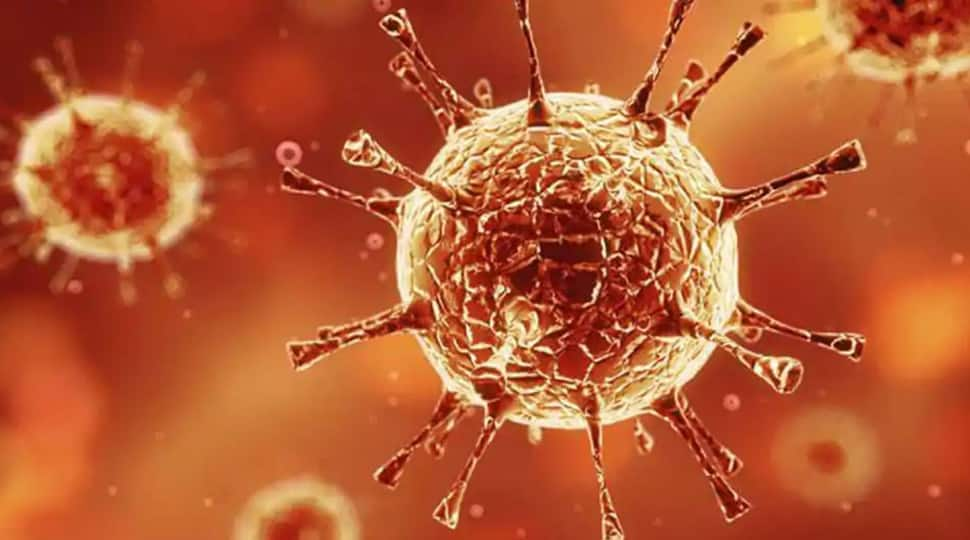 Fact check: Coronavirus most likely originated in natural wildlife populations before spreading to humans, says report