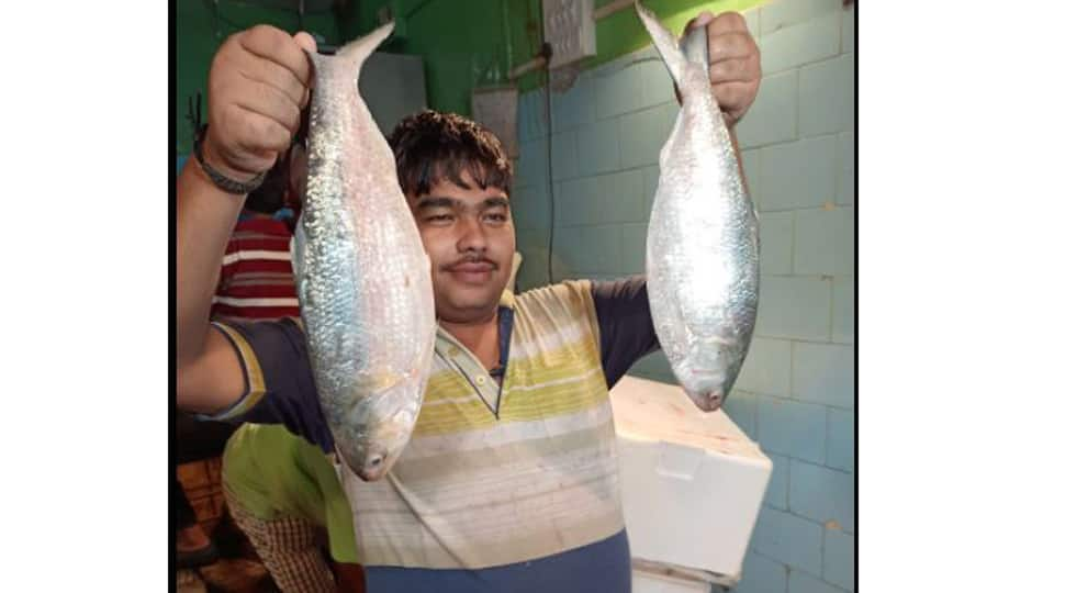 Bangladesh allows export of 1450 MT of Padma Hilsa to India ahead of Durga Puja