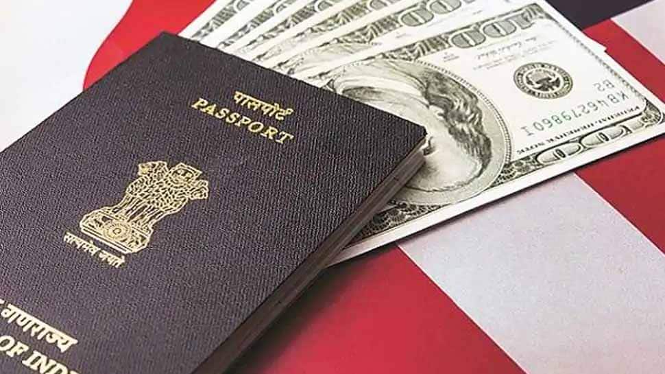 India monitoring US visa issues, including H1B: MEA tells Parliament