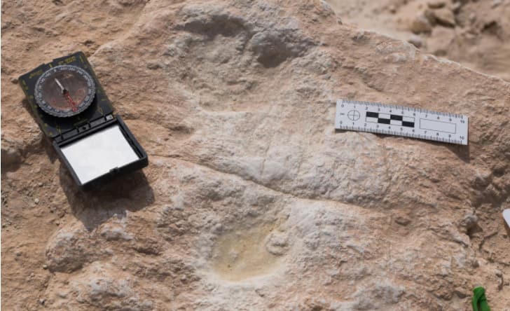 Oldest human footprints found in dunes of northern Saudi Arabia 