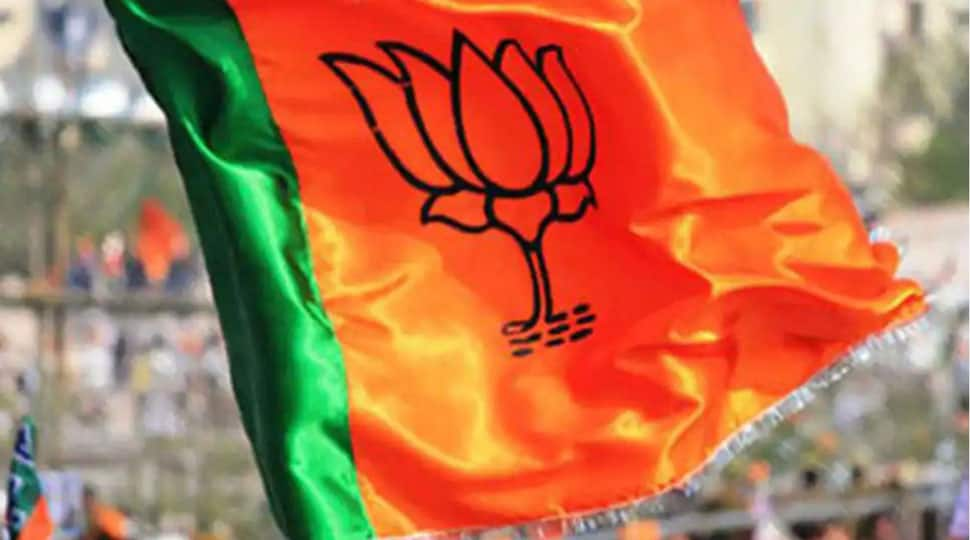 Over 30 BJP workers injured after helium balloons explode during PM Narendra Modi&#039;s birthday celebrations in Chennai