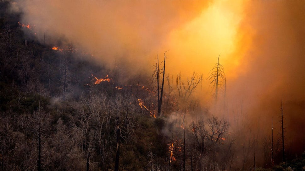 Largest California wildfire threatens marijuana-growing area