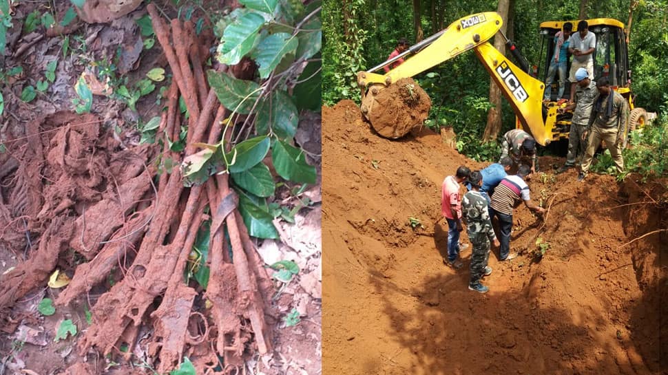 Buried a decade ago, huge cache of arms recovered in West Bengal&#039;s Midnapore