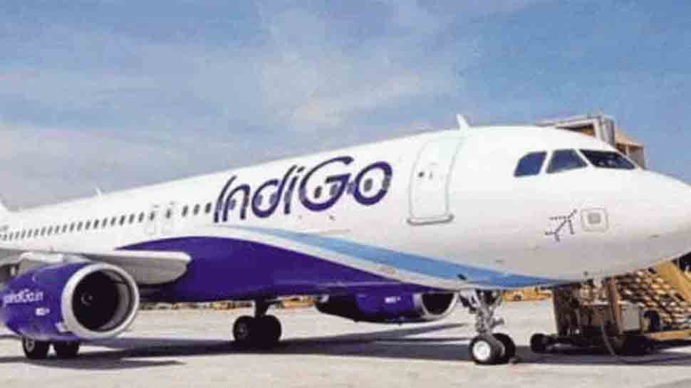 Bird hit forces Delhi-bound Indigo flight to return to Mumbai
